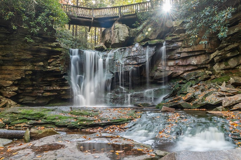 Waterfall Wander: Discover Elakala Trail - Elakala Trail
