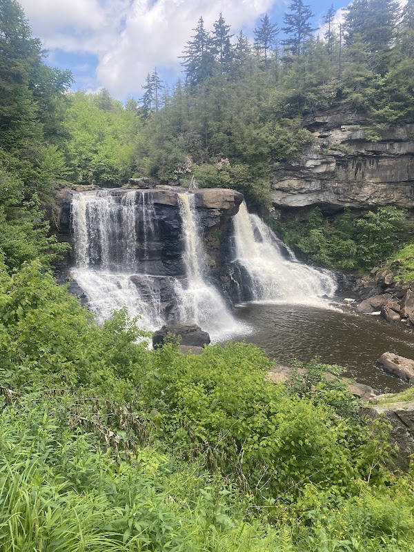 Waterfall Wander: Discover Elakala Trail - Elakala Trail
