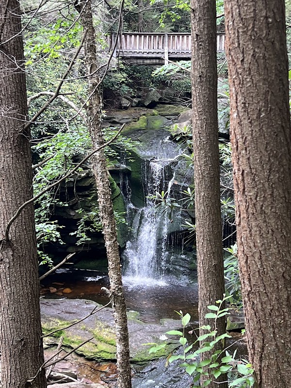 Waterfall Wander: Discover Elakala Trail - Elakala Trail