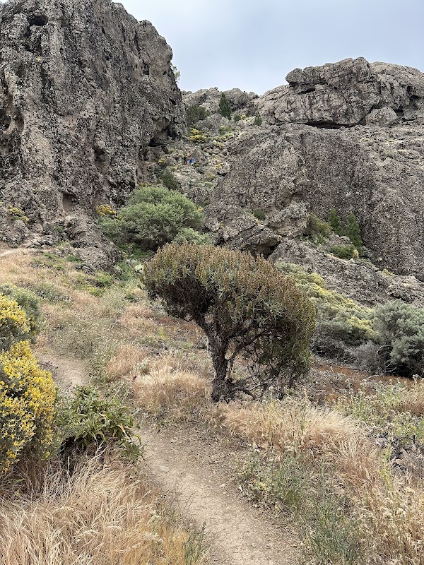 Natural Wonder: Camino Ventana del Nublo - Camino Ventana del Nublo