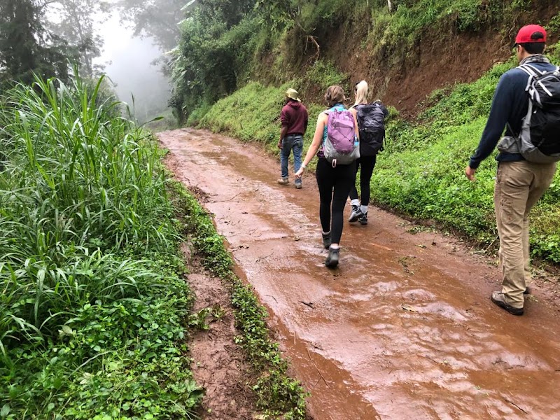 Majestic Trails of Kilimanjaro - Kilimanjaro Trekking
