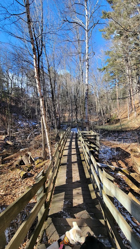 Hiking the Big Ravine - West Rim Trail surrounding landscape