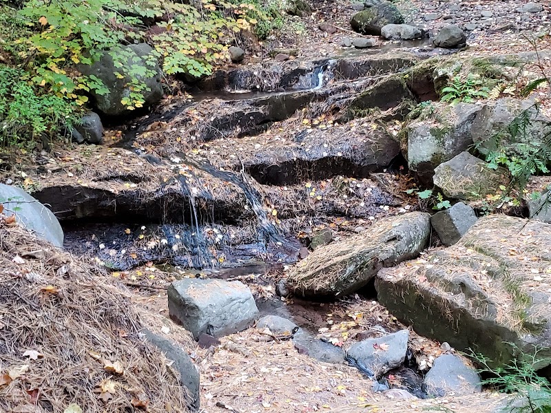 Nature's Escape: Iron Bridge Trail in Bayfield surrounding landscape
