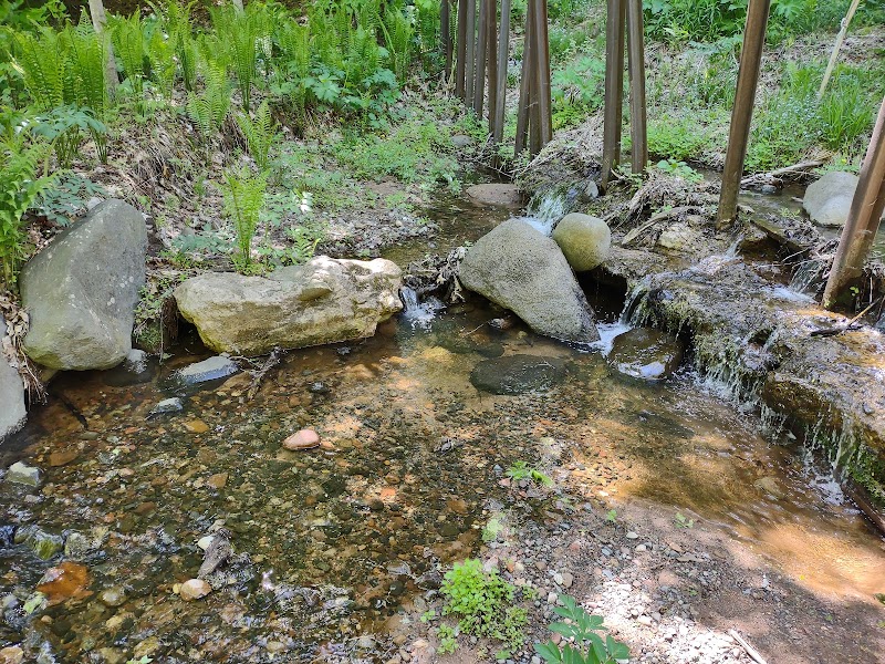 Nature's Escape: Iron Bridge Trail in Bayfield outdoor detail