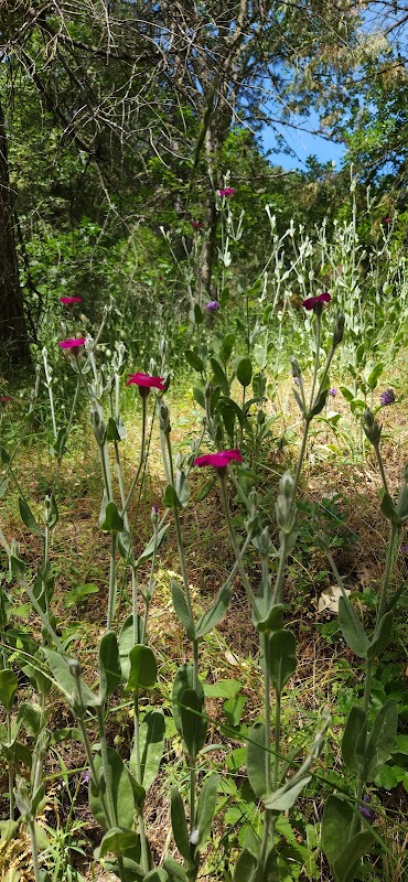 Discover the Wild Beauty of Lower Wonder Trailhead - Lower Wonder Trailhead