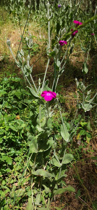 Discover the Wild Beauty of Lower Wonder Trailhead - Lower Wonder Trailhead
