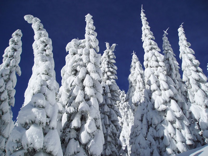 Winter Wonder at Mt. Ashland - Mt. Ashland Ski Area