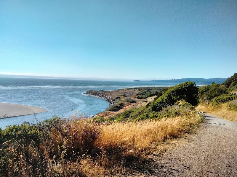 Discover the Beauty of Hammond Coastal Trail - Hammond Coastal Trail