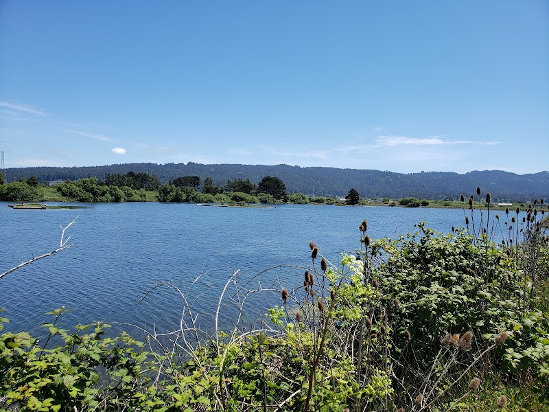 Arcata Bird Sanctuary: A Wildlife Haven in Northern California - Arcata Bird Sanctuary