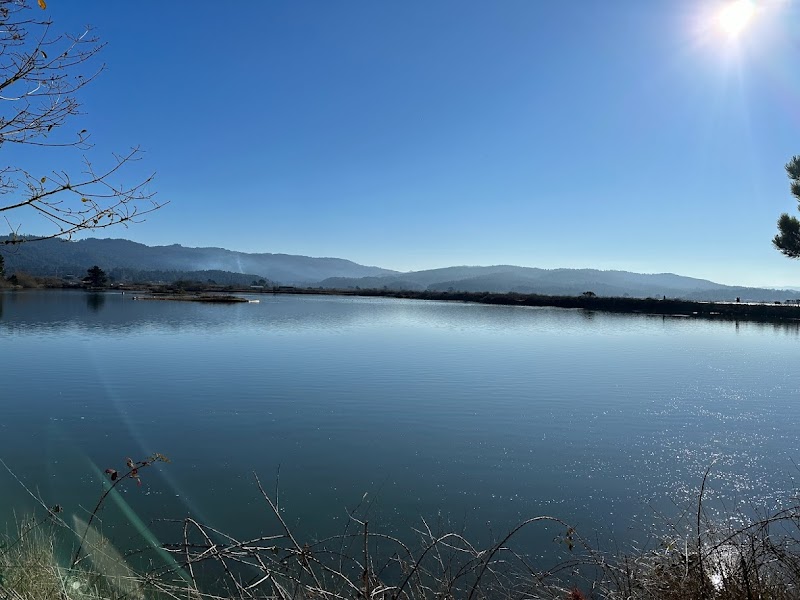 Arcata Bird Sanctuary: A Wildlife Haven in Northern California - Arcata Bird Sanctuary
