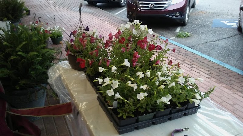 Gallery On the Square: Artistic Charm in Franklin, KY outdoor detail