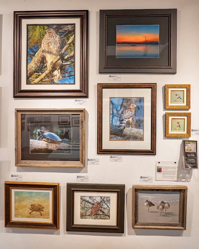 Photographic Art Haven in West Jefferson - Catch Light Gallery