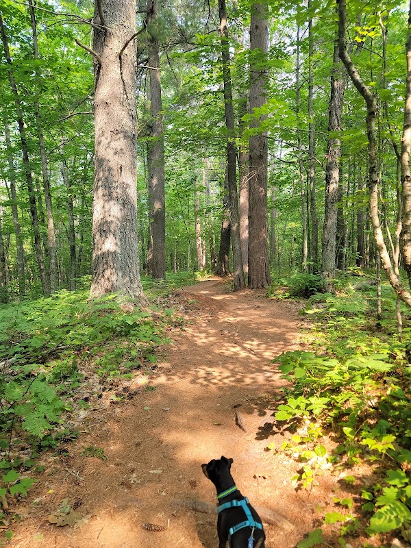 Lost Creek Falls: A Hidden Gem in Wisconsin's Natural Beauty - Lost Creek Falls