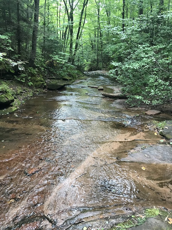 Lost Creek Falls: A Hidden Gem in Wisconsin's Natural Beauty - Lost Creek Falls