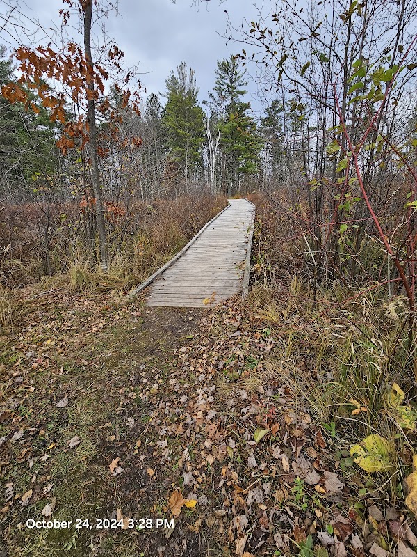 Nature's Tranquil Retreat: Salmo Lake Walk Trail - Salmo Lake Walk Trail