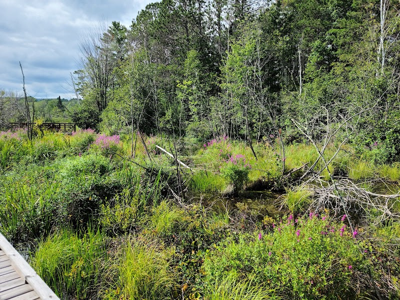 Nature's Tranquil Retreat: Salmo Lake Walk Trail - Salmo Lake Walk Trail