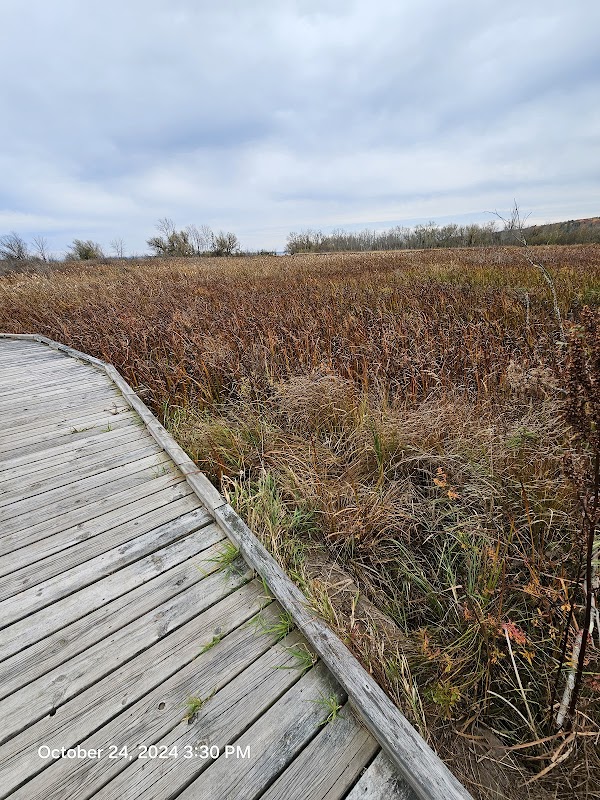 Nature's Tranquil Retreat: Salmo Lake Walk Trail surrounding landscape