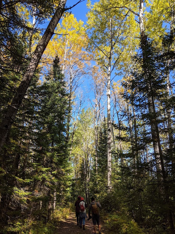 Discover the Tranquil Wilderness of Madeline Island surrounding landscape
