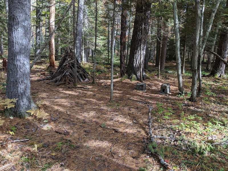 Discover the Tranquil Wilderness of Madeline Island outdoor detail