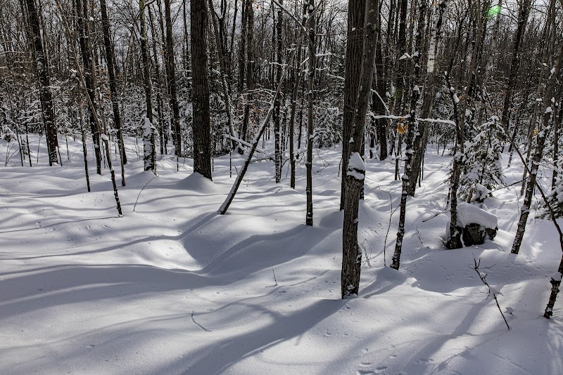 Discover the Tranquility of The Old Bayfield Road Hiking Trail - The Old Bayfield Road Hiking Trail