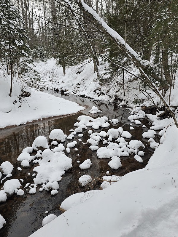 Discover the Natural Beauty of Pike's Creek Trail System, Bayfield outdoor detail