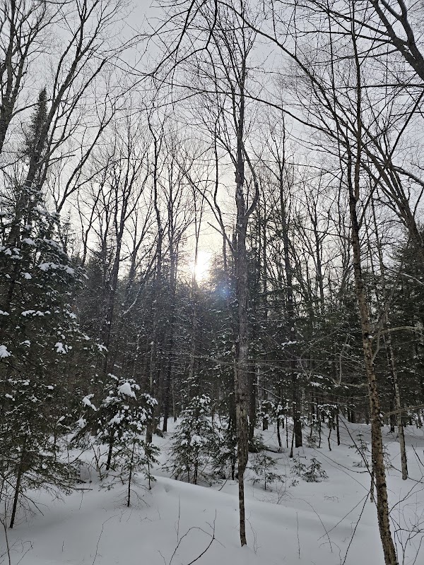 Discover the Natural Beauty of Pike's Creek Trail System, Bayfield surrounding landscape