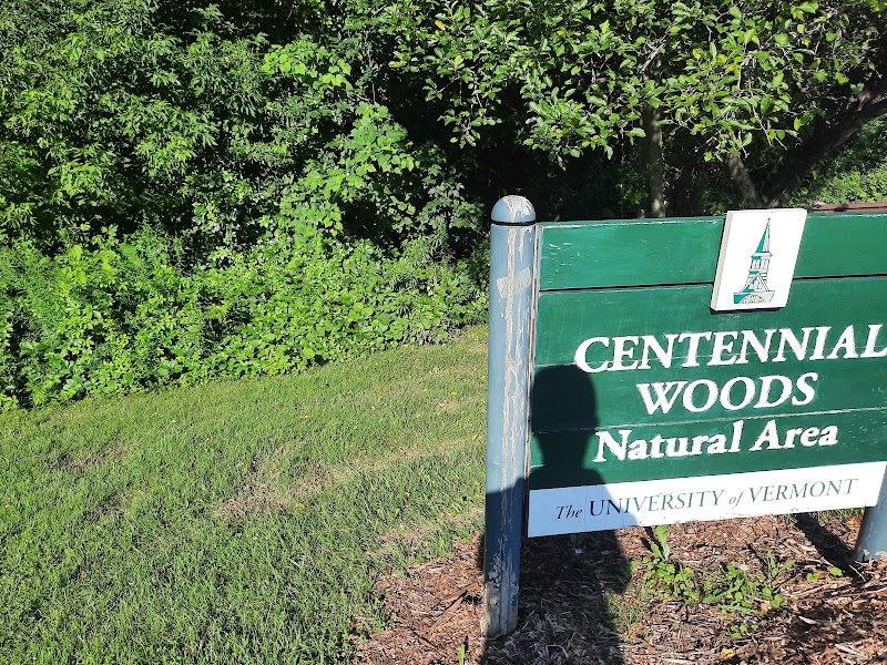 Woodland Escape at Centennial Woods - Centennial Woods Natural Area