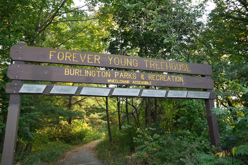 Stone Circles & Shores: Discover Oakledge Park - Oakledge Park
