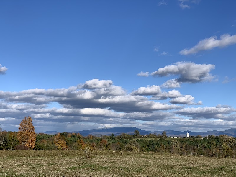 Discover Nature's Beauty at Wheeler Nature Park - Wheeler Nature Park