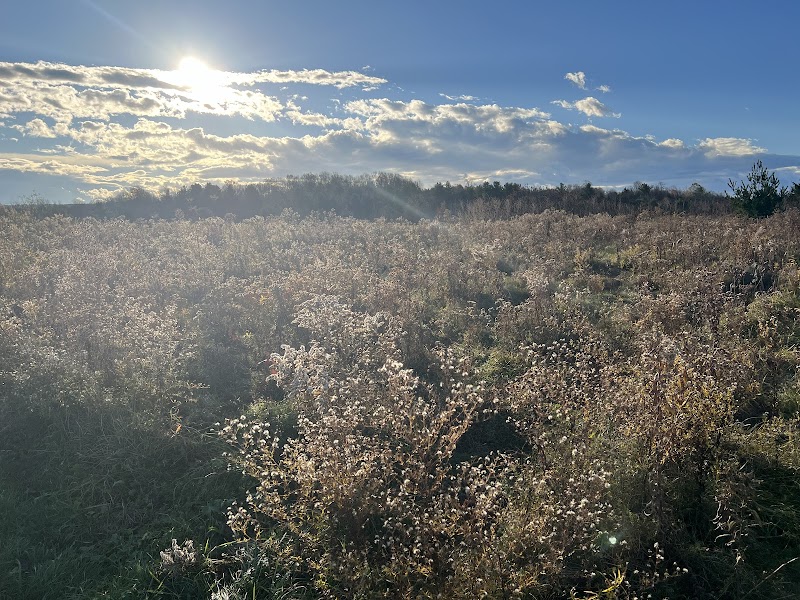 Discover Nature's Beauty at Wheeler Nature Park - Wheeler Nature Park