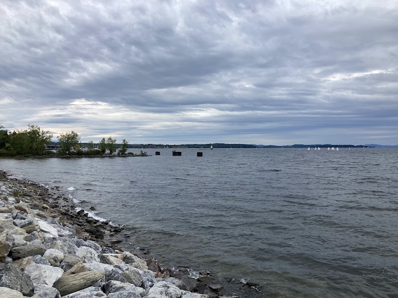 Discovering the Natural Beauty of Urban Reserve - Urban Reserve
