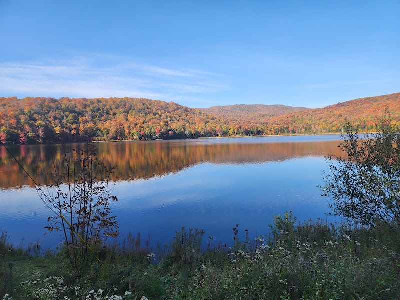 Discover the Majestic Long Trail State Forest - Long Trail State Forest