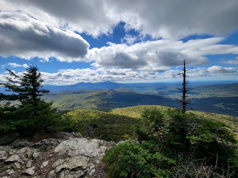 Discover the Majestic Long Trail State Forest - Long Trail State Forest