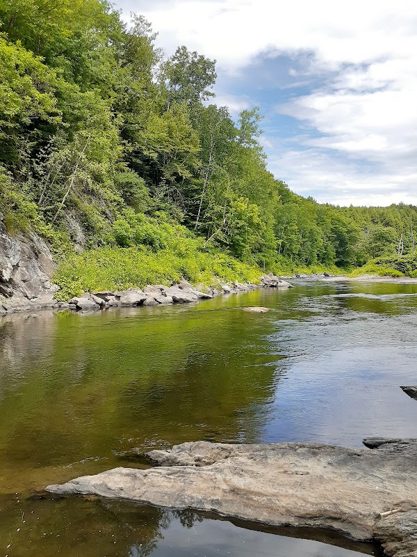 Discover the Majestic Long Trail State Forest - Long Trail State Forest