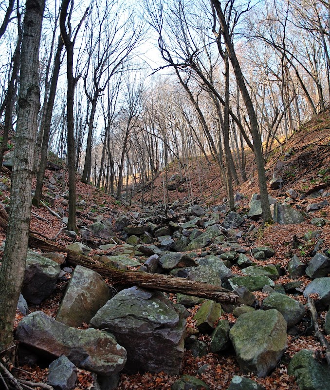 Exploring the Wilderness of South Bluff / Devil's Nose - South Bluff / Devil's Nose State Natural Area