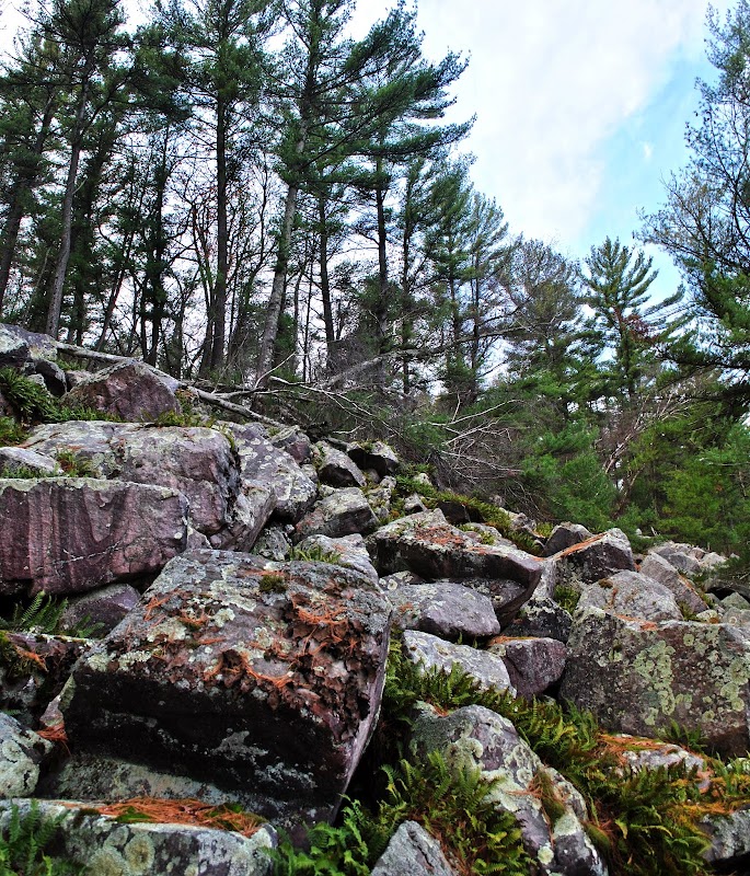Exploring the Wilderness of South Bluff / Devil's Nose outdoor detail