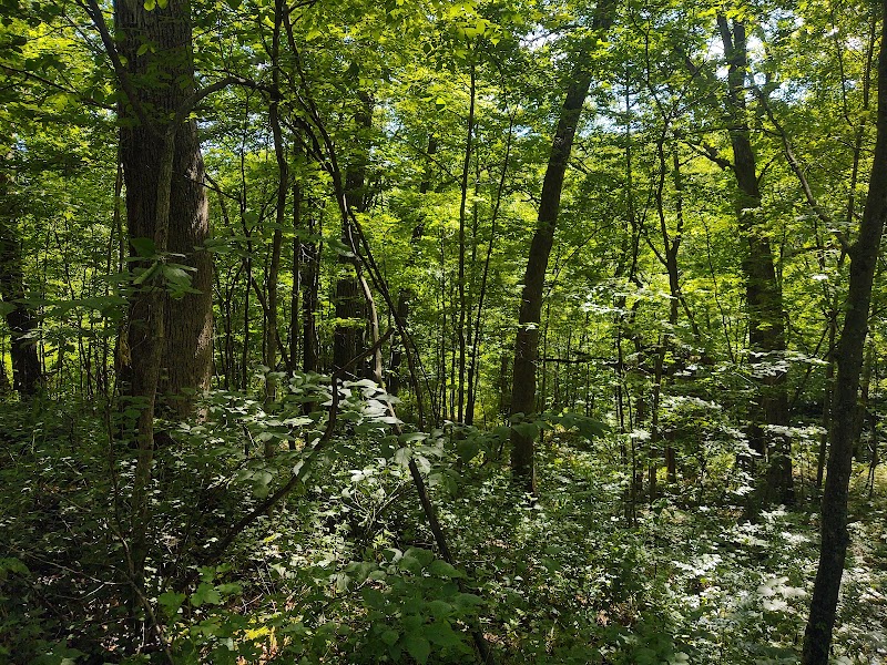 Natural Bridge in North Freedom, Wisconsin surrounding landscape