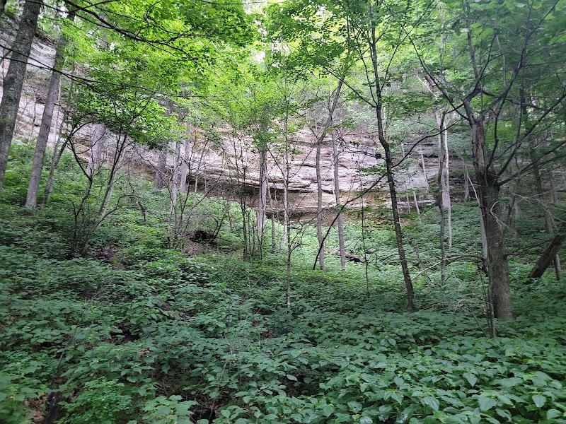 Nature's Secret Hideaway: Hemlock Draw outdoor detail