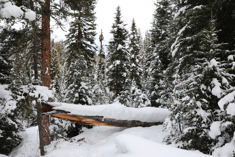 Nature's Beauty at Yellow Mules Trailhead surrounding landscape