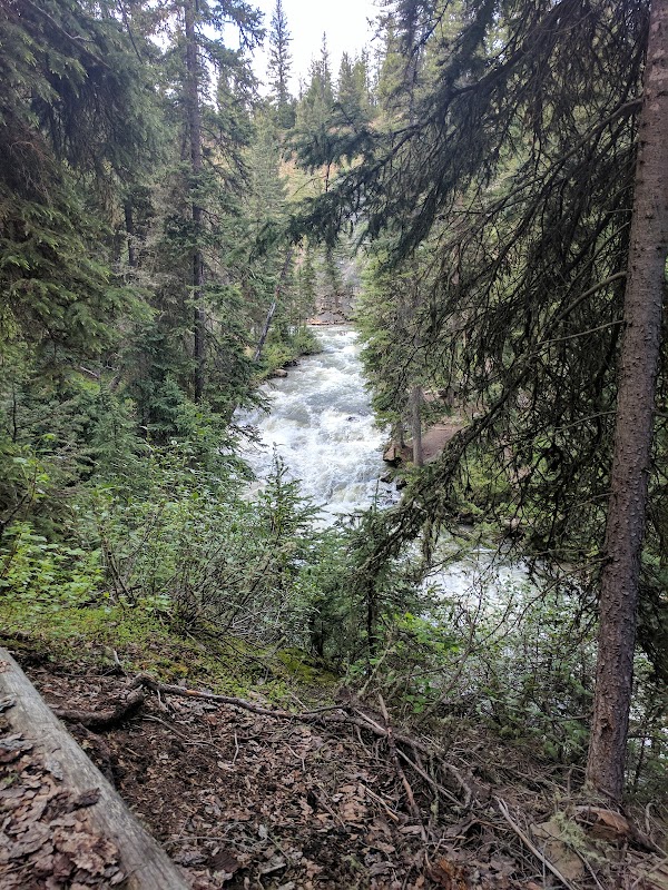 Nature's Beauty at Yellow Mules Trailhead - Yellow Mules Trailhead
