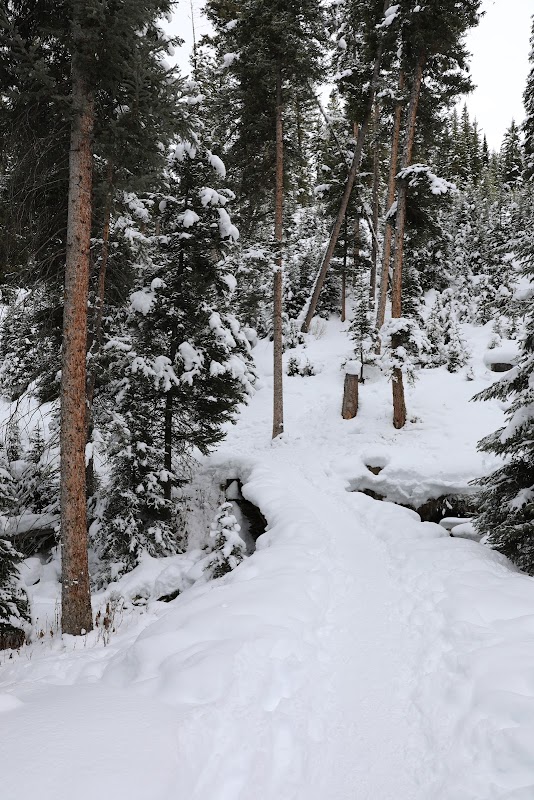 Nature's Beauty at Yellow Mules Trailhead - Yellow Mules Trailhead