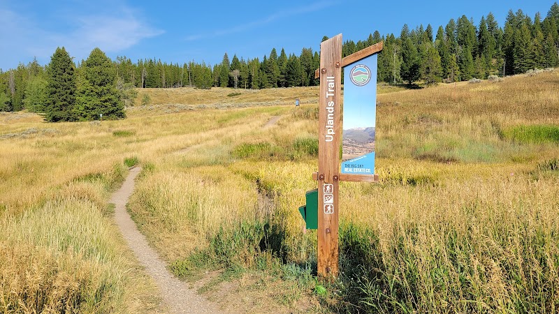 Discover the Uplands Trailhead's Scenic Beauty surrounding landscape