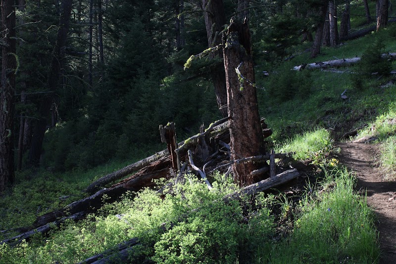 The Reflector Loop: A Natural Gem in Gallatin Gateway, Montana - The Reflector Loop