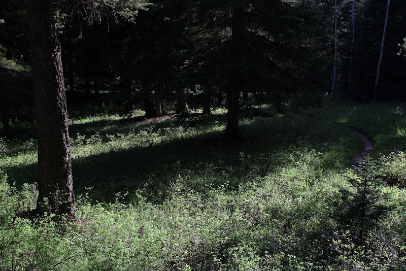 The Reflector Loop: A Natural Gem in Gallatin Gateway, Montana surrounding landscape