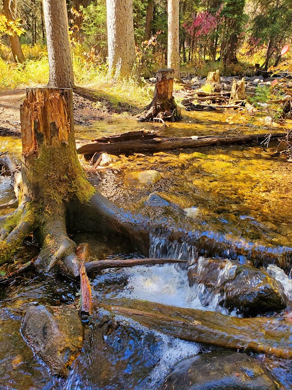 Serenity by the Stream: Deer Creek Trailhead - Deer Creek Trailhead