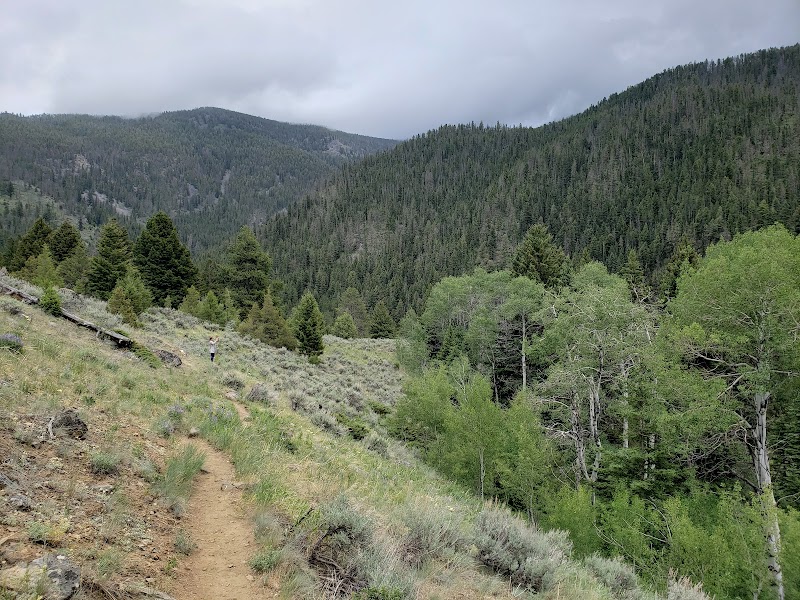 Serenity by the Stream: Deer Creek Trailhead - Deer Creek Trailhead