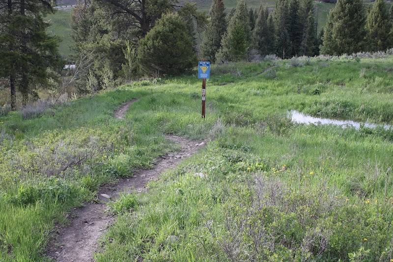 Discover the Natural Wonders of Hummocks Trailhead: Gallatin Gateway, MT surrounding landscape