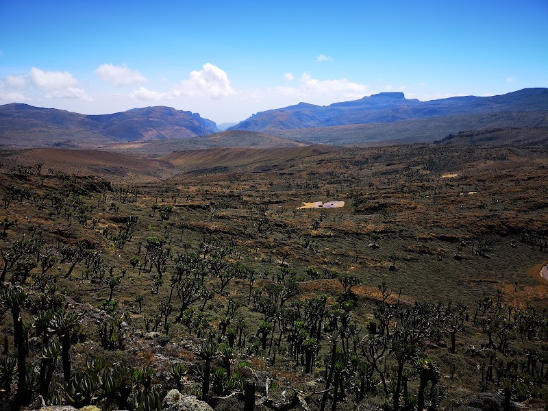 Wonders of Mount Elgon National Park - Mount Elgon National Park