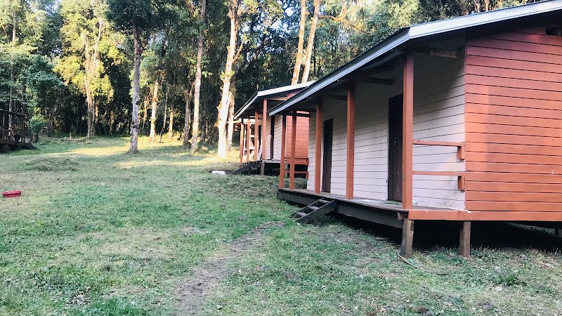 Discover the Wonders of Mount Elgon National Park, Sasa Trail - Mount Elgon National Park, Sasa Trail