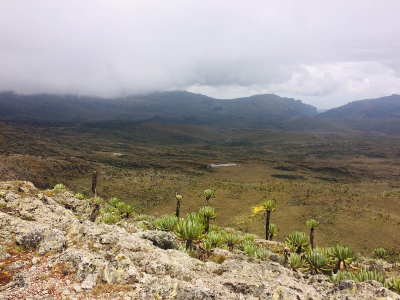 Discover the Wonders of Mount Elgon National Park, Sasa Trail - Mount Elgon National Park, Sasa Trail
